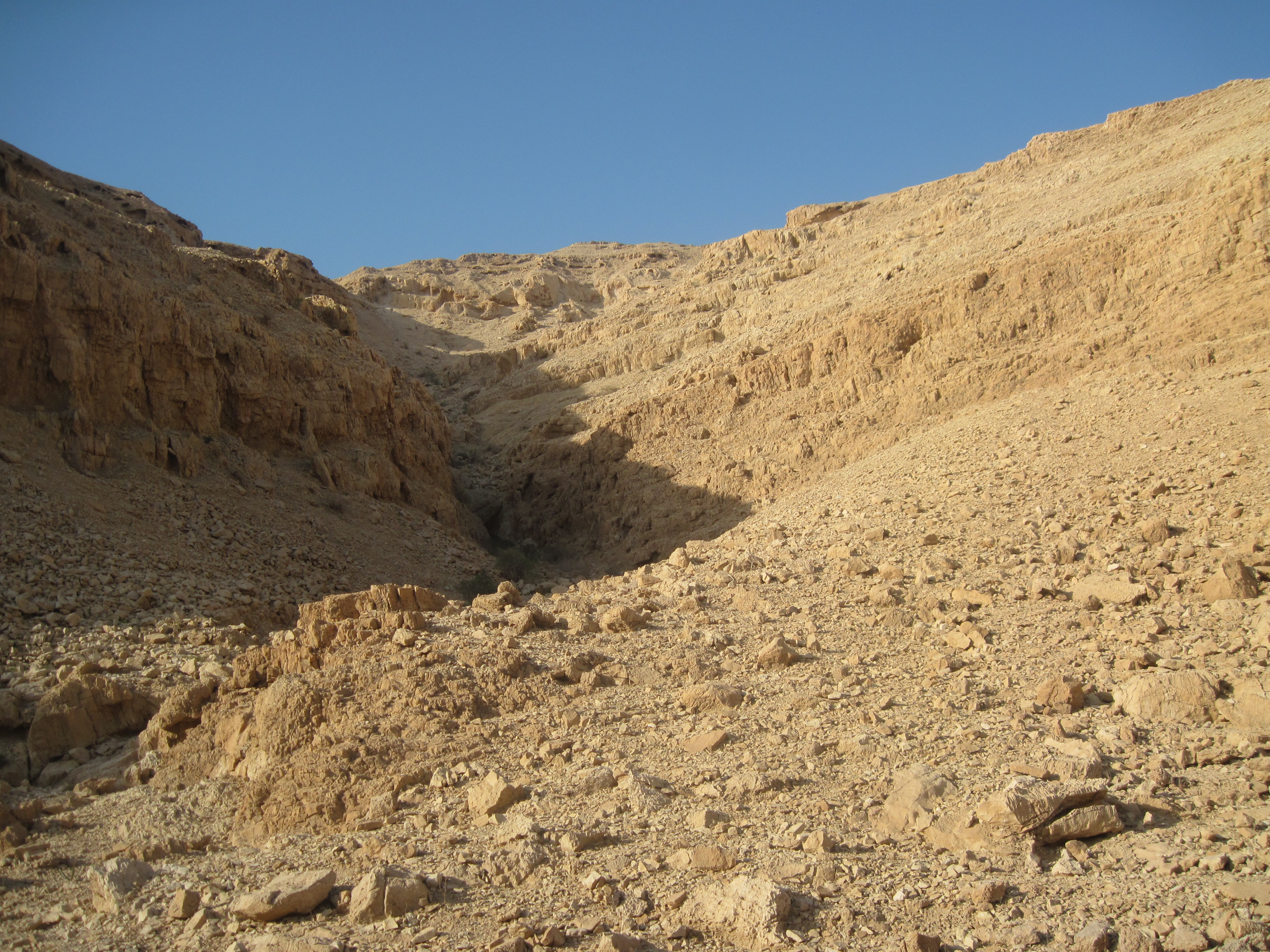 תמונה מתוך אתר טלחופש - הבית של התיירות הכשרה