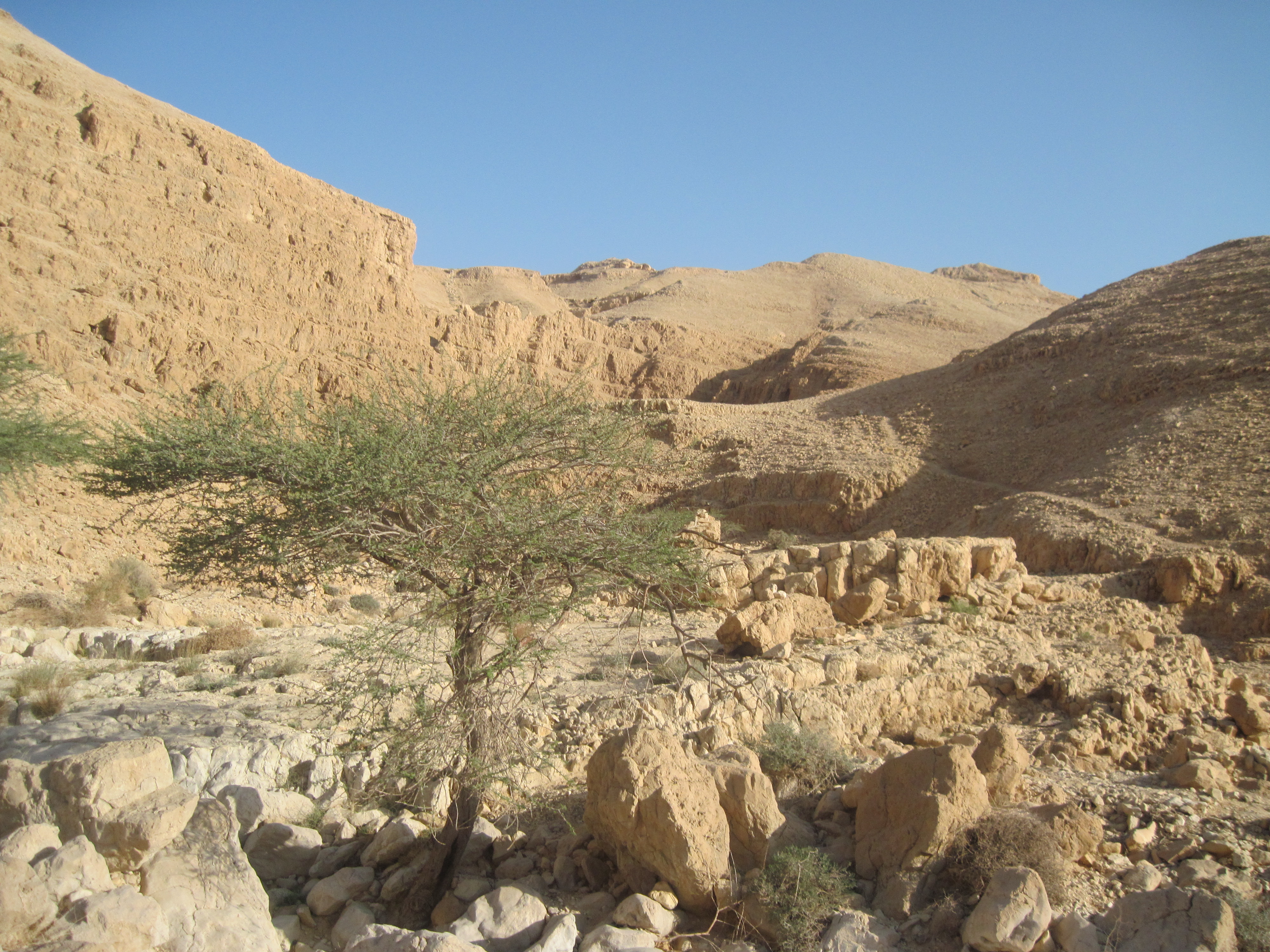 תמונה מתוך אתר טלחופש - הבית של התיירות הכשרה