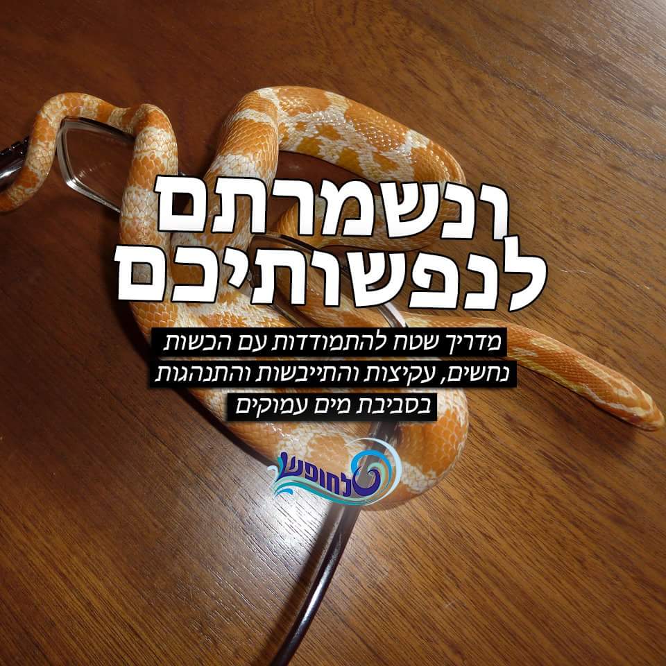 ונשמרת לנפשותיכם  -טלחופש | טלחופש - הבית של התיירות הכשרה