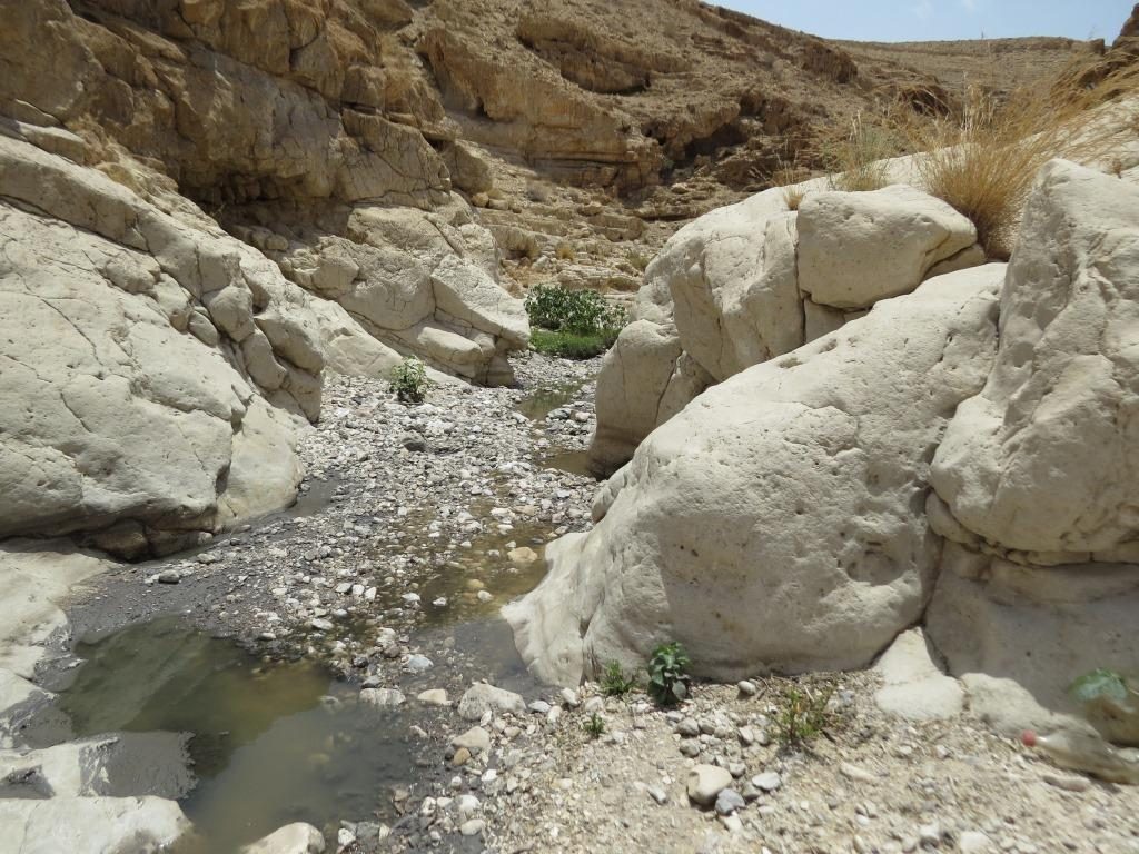 תמונה מתוך אתר טלחופש - הבית של התיירות הכשרה