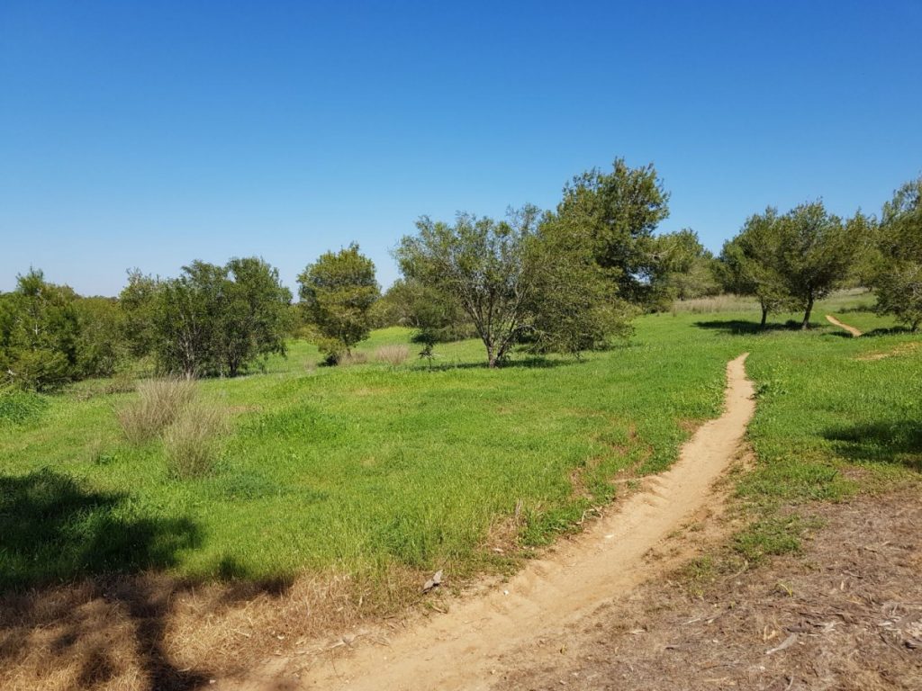 תמונה מתוך אתר טלחופש - הבית של התיירות הכשרה