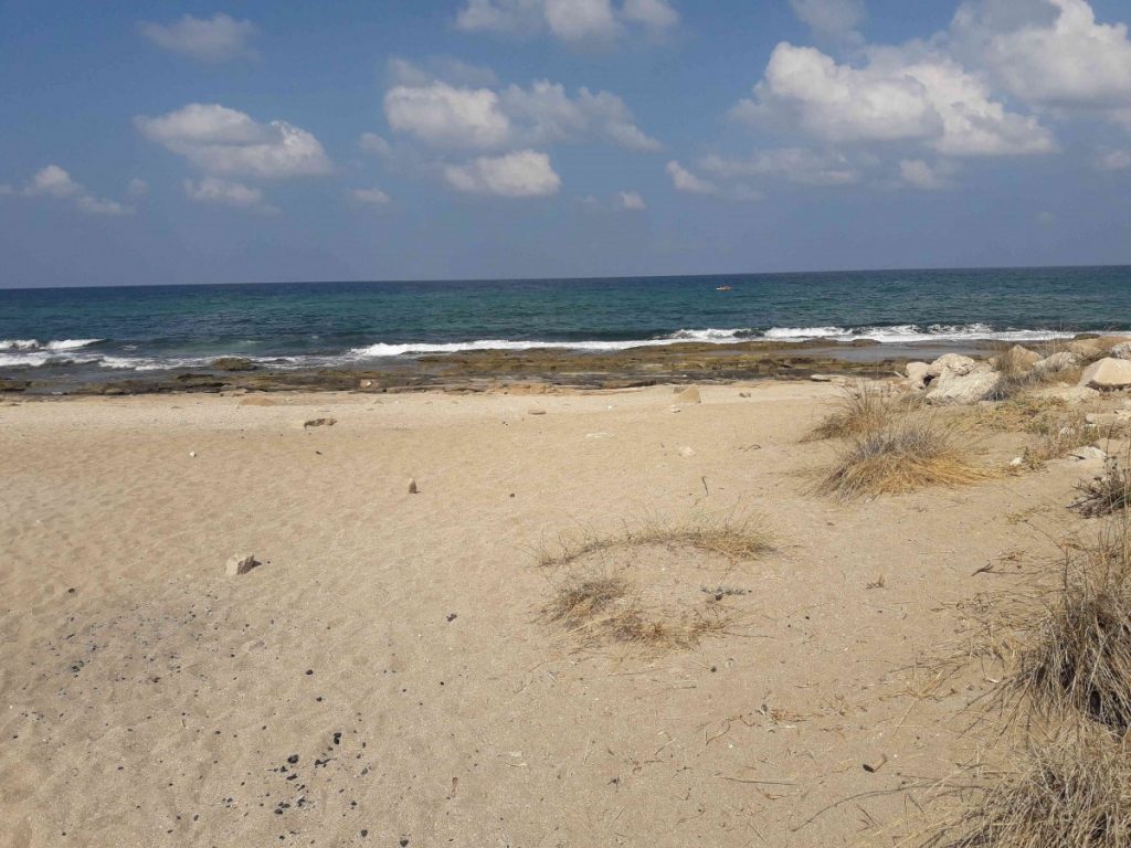 חוף שבי ציון צילום - גידי בטלהיים המשרד להגנת הסביבה | טלחופש - הבית