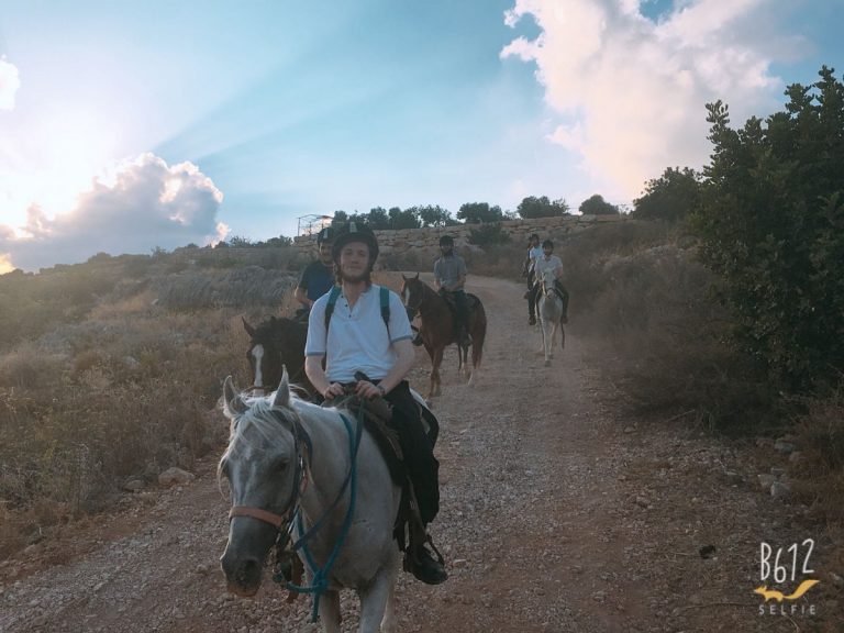 חוות אלסריסה גן הסוסים-1-YKJUPA | טלחופש - הבית של התיירות הכשרה