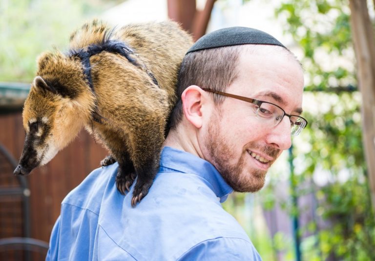 מוזיאון הטבע התנכי-טלחופש-15 | טלחופש - הבית של התיירות הכשרה