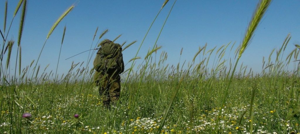 תמונה מתוך אתר טלחופש - הבית של התיירות הכשרה