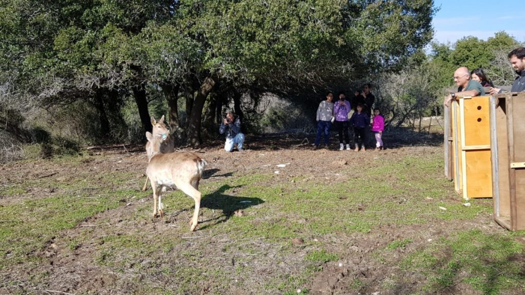 תמונה מתוך אתר טלחופש - הבית של התיירות הכשרה