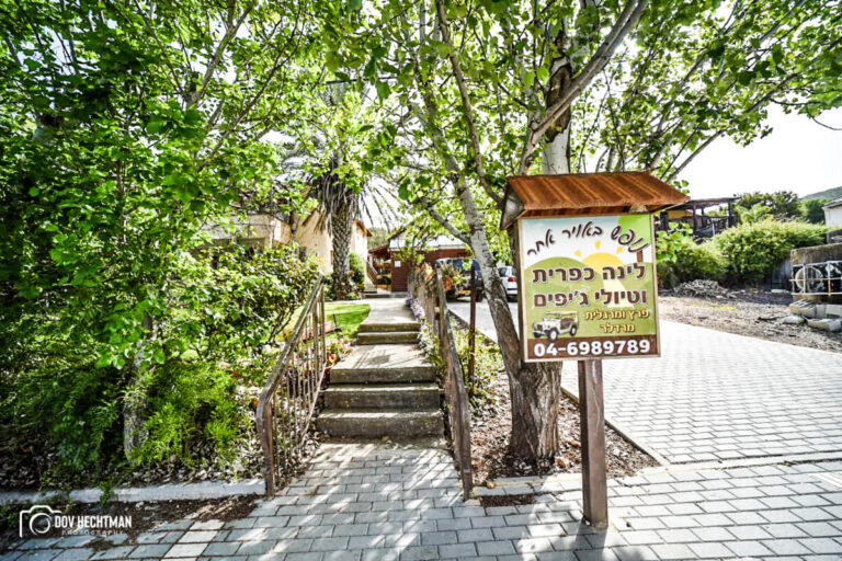 צימרים במירון, צימרים זולים במירון, אירוח לזוגות בצפון, צימרים בצפון
