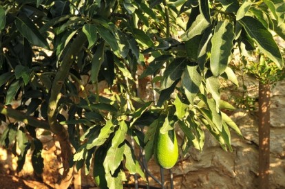 תמונה מתוך אתר טלחופש - הבית של התיירות הכשרה