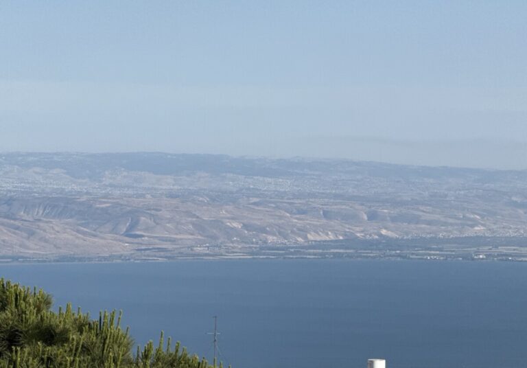 סוויטות הצבי - סוויטות חדשות בלב בעיר צפת - טלחופש