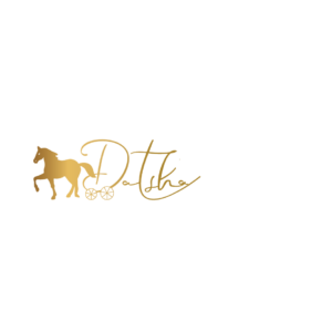 דאצ'ה תיירות