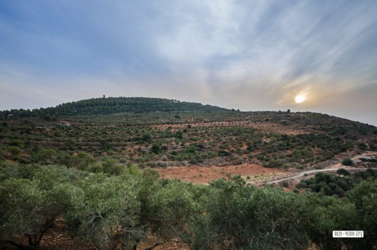 נוף ארץ הגליל - צימרים לדתיים וחרדים עם בריכה במצפה נטופה - טלחופש