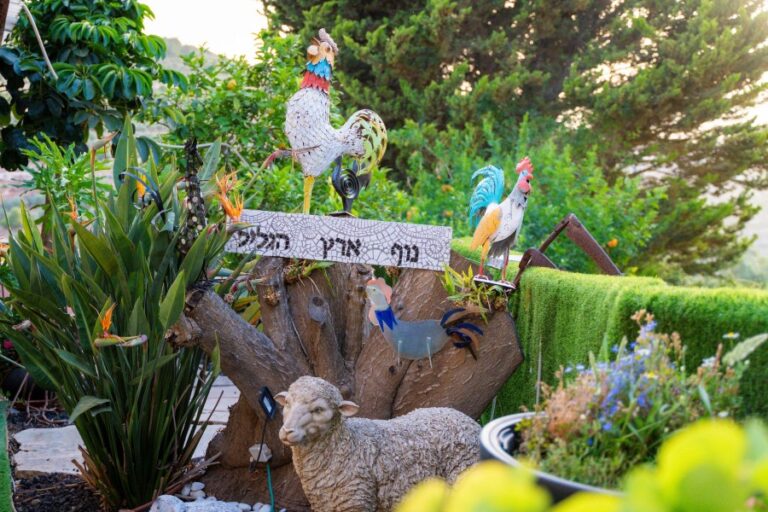 נוף ארץ הגליל - צימרים לדתיים וחרדים עם בריכה במצפה נטופה - טלחופש
