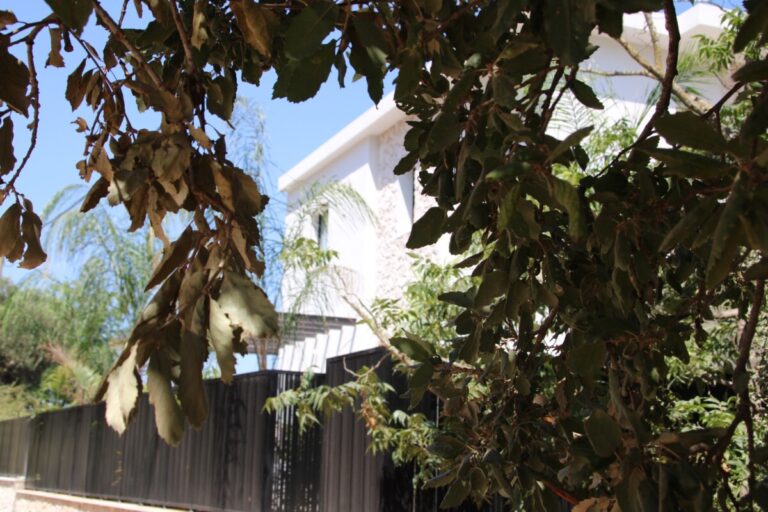 בין העצים פרדס חנה אירוח למשפחות עם בריכה טלחופש